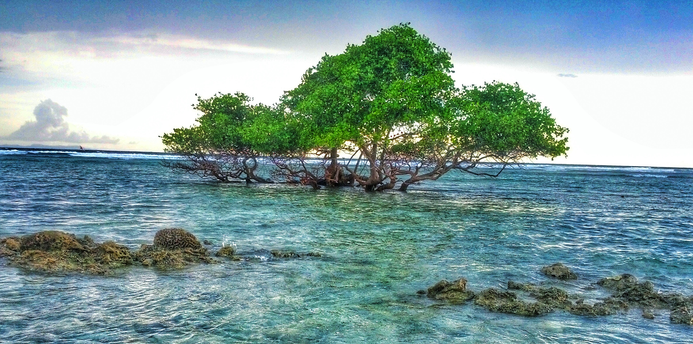 gili